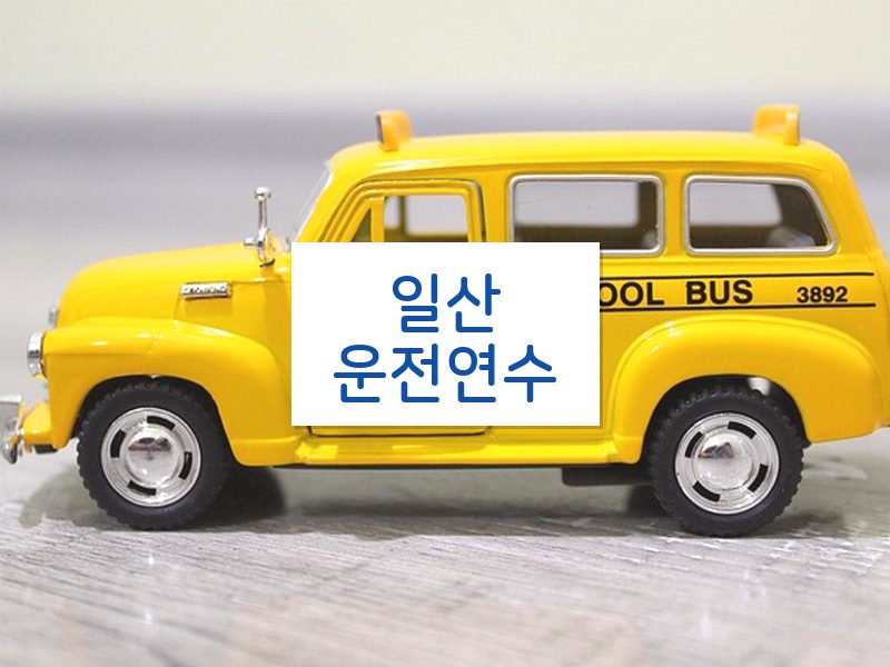 일산운전연수 후기