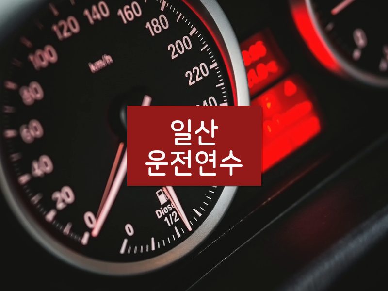 일산운전연수 후기