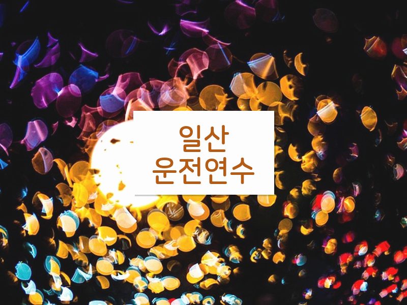 일산운전연수 후기