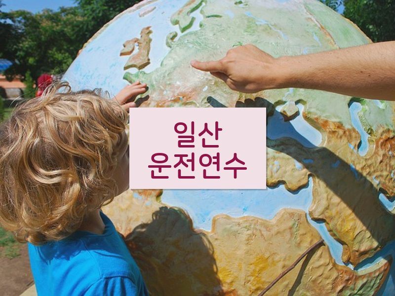 일산운전연수 후기