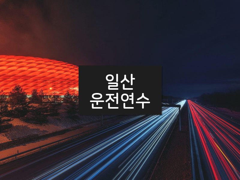 일산운전연수 후기