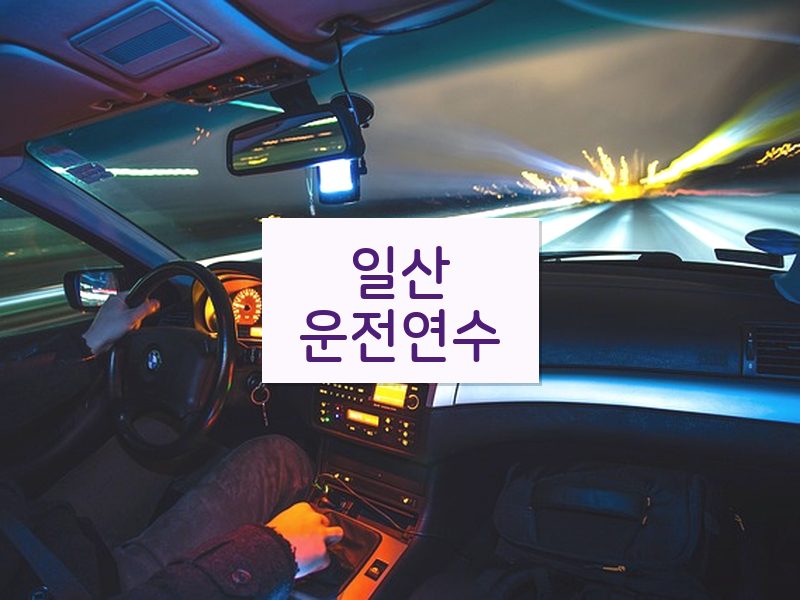 일산운전연수 후기