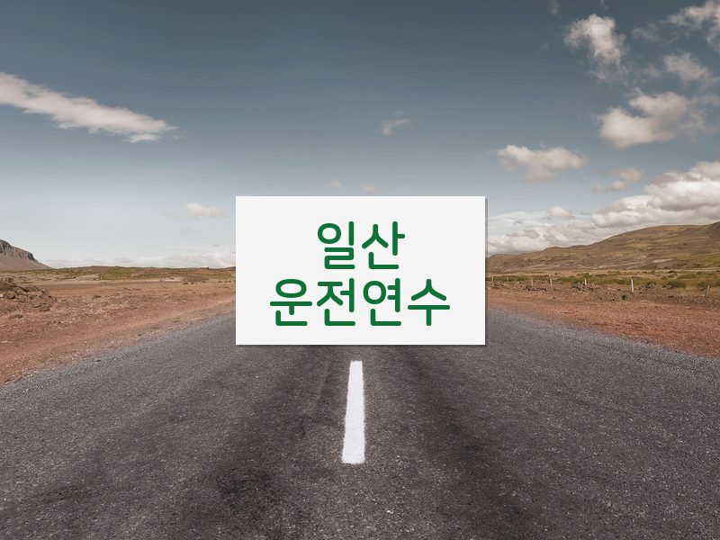 일산운전연수 후기