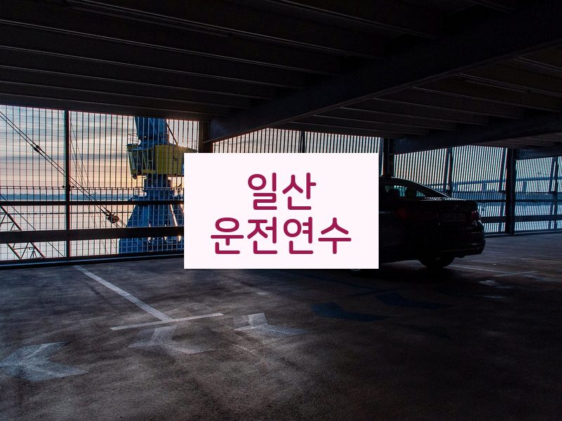 일산운전연수 후기