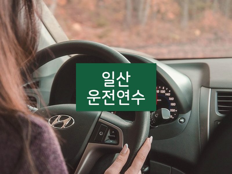 일산운전연수 후기
