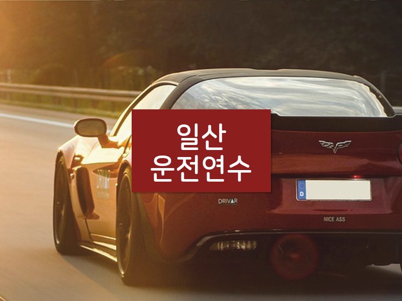 일산운전연수 후기