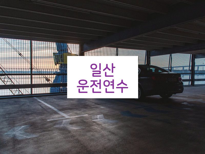일산운전연수 후기