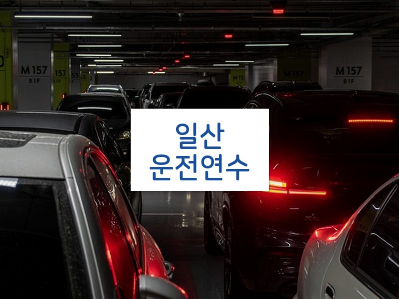 일산운전연수 후기