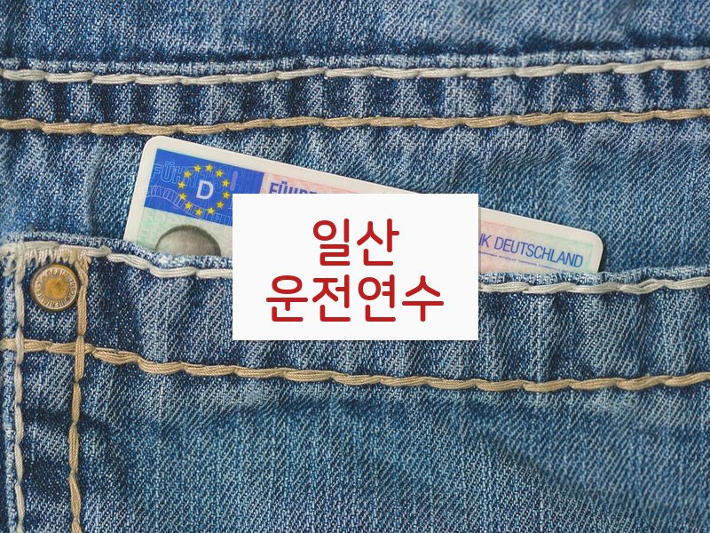 일산운전연수 후기