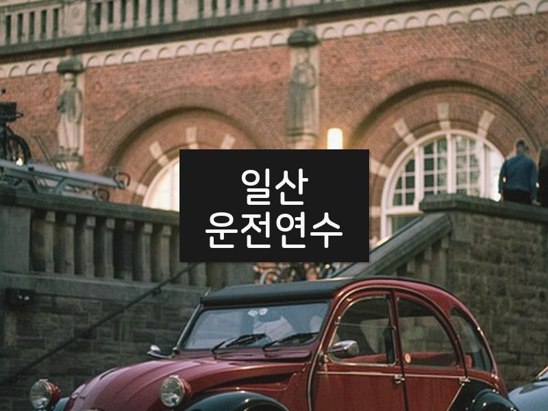 일산운전연수 후기