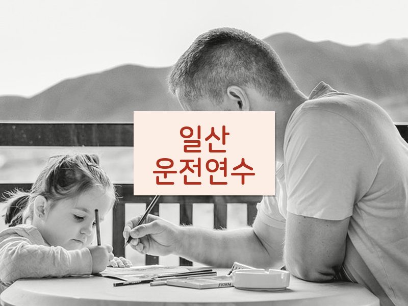 일산운전연수 후기