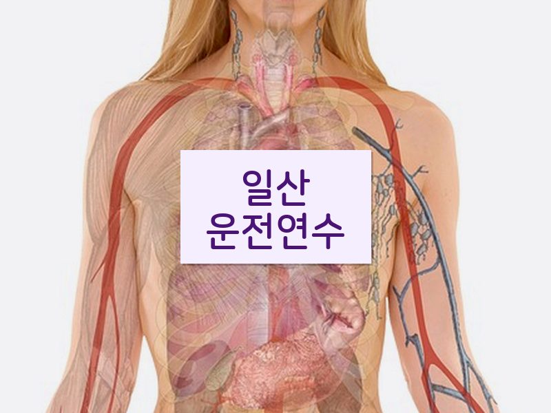 일산운전연수 후기