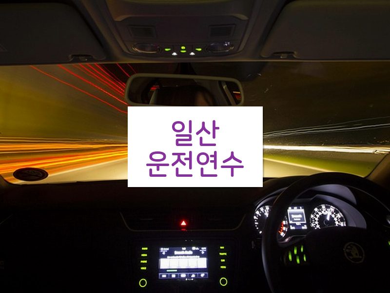 일산운전연수 후기