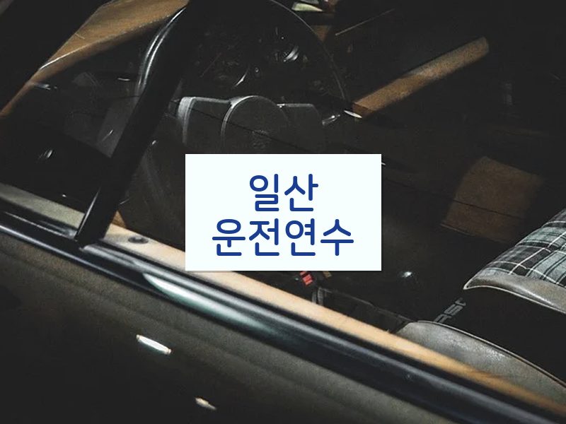 일산운전연수 후기