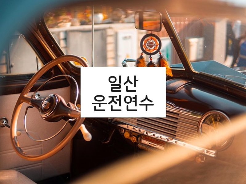 일산운전연수 후기