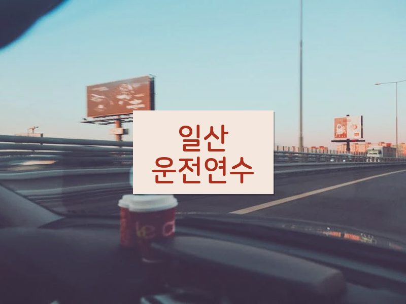 일산운전연수 후기