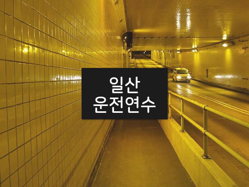 일산운전연수 후기