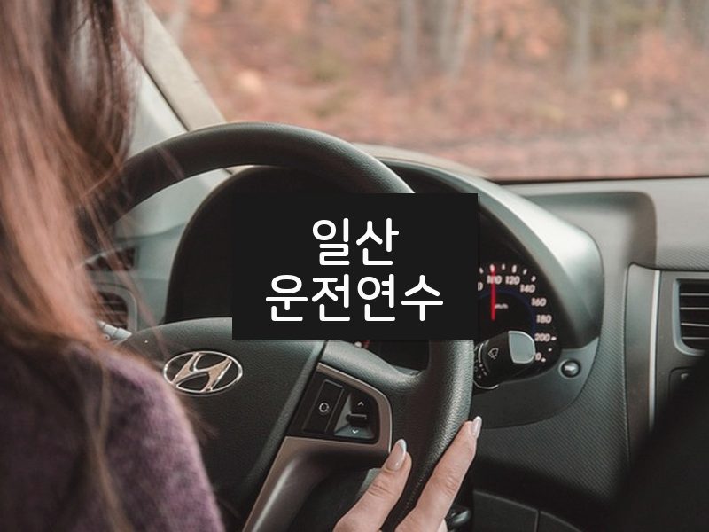 일산운전연수 후기