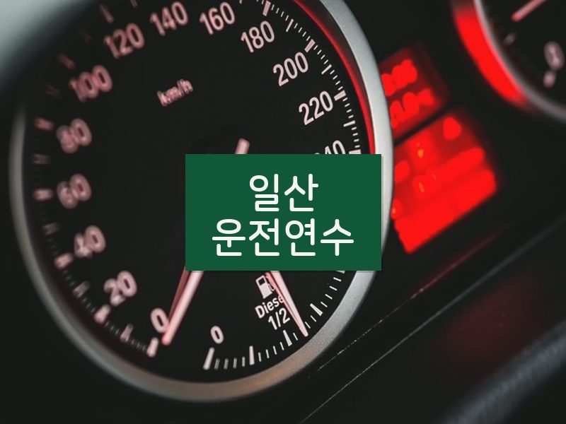 일산운전연수 후기