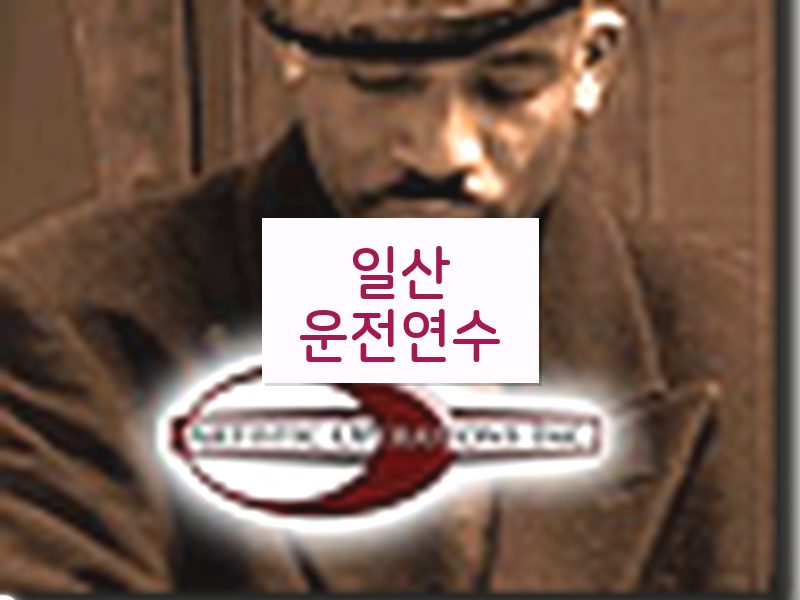 일산운전연수 후기