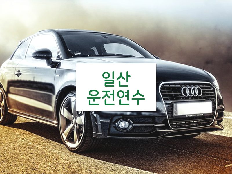 일산운전연수 후기