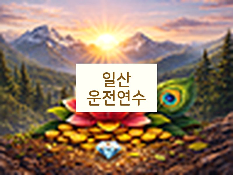 일산운전연수 후기