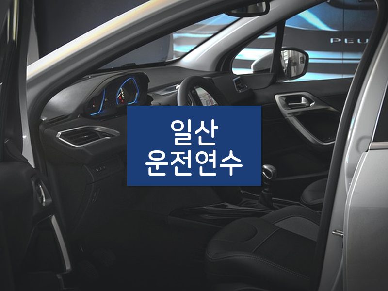 일산운전연수 후기