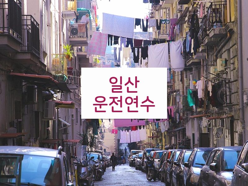 일산운전연수 후기
