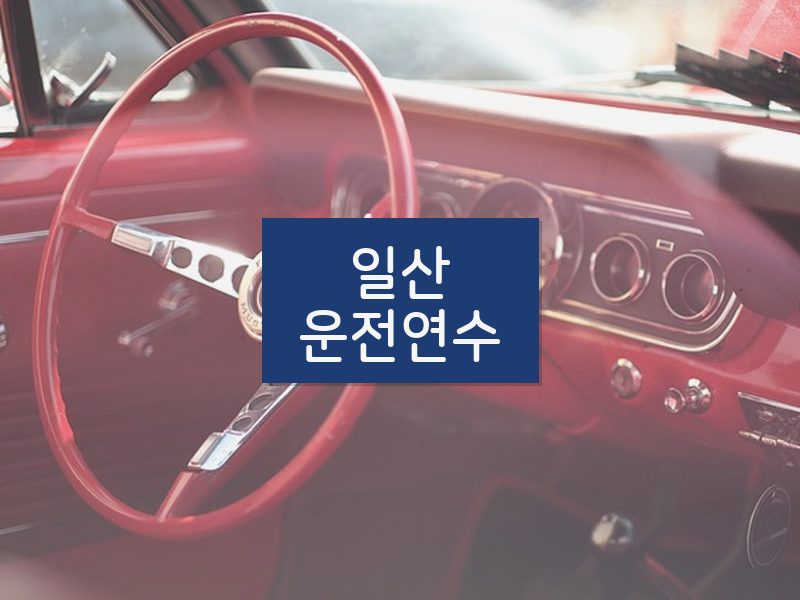 일산운전연수 후기