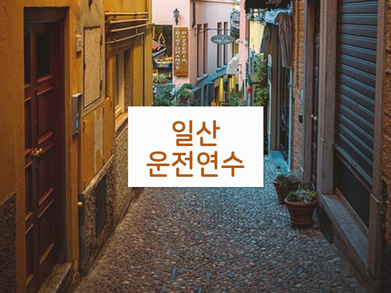 일산운전연수 후기