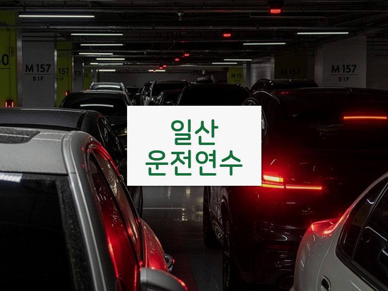 일산운전연수 후기