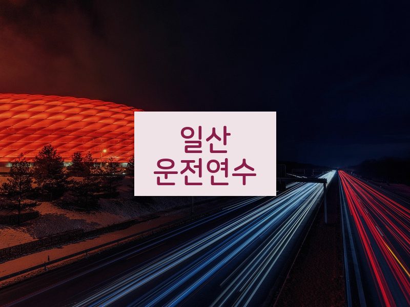 일산운전연수 후기