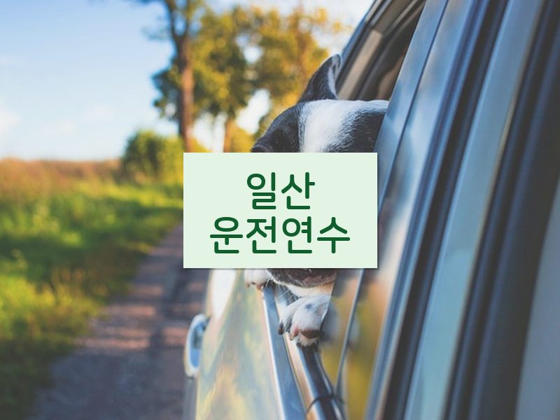 일산운전연수 후기