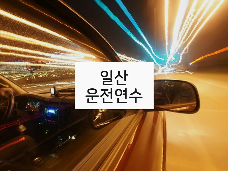 일산운전연수 후기