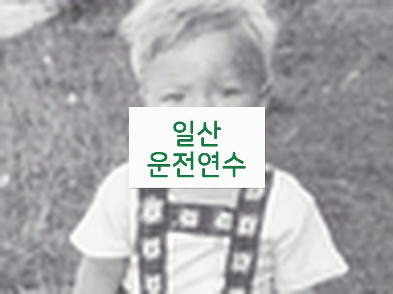 일산운전연수 후기
