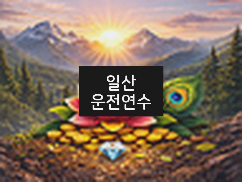 일산운전연수 후기