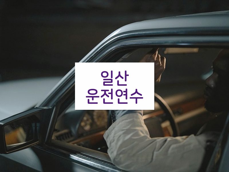 일산운전연수 후기