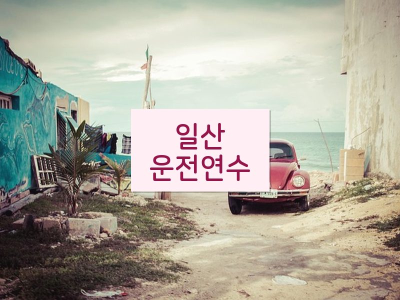 일산운전연수 후기