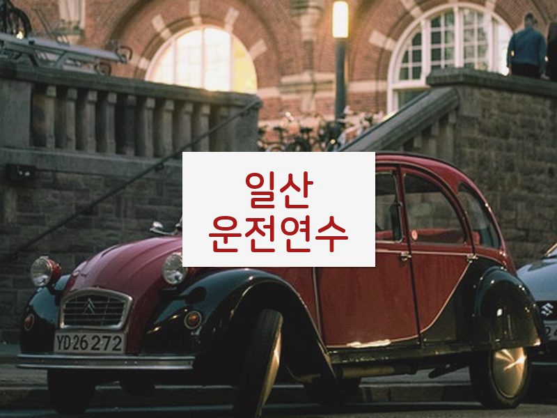 일산운전연수 후기