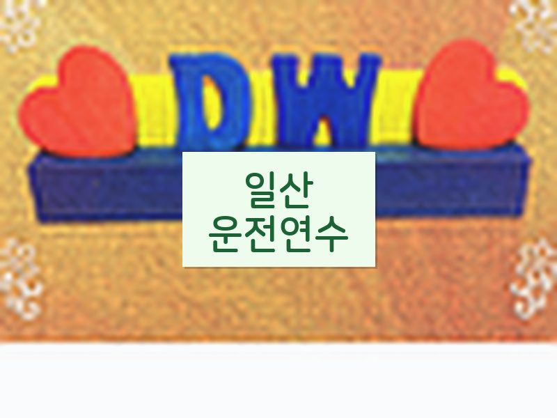 일산운전연수 후기