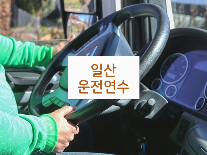 일산운전연수 후기