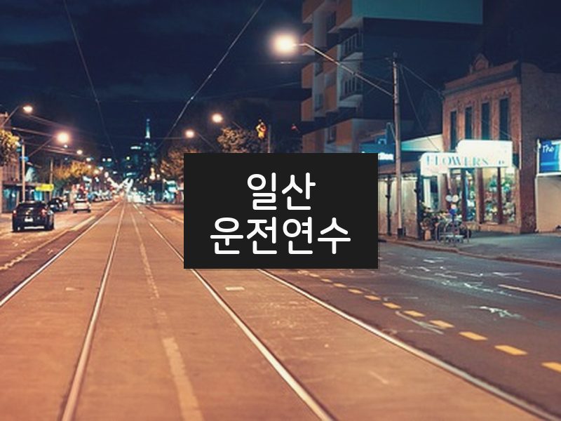 일산운전연수 후기
