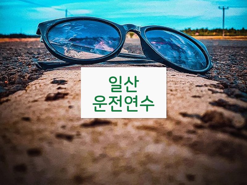 일산운전연수 후기