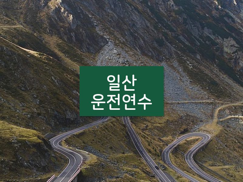 일산운전연수 후기