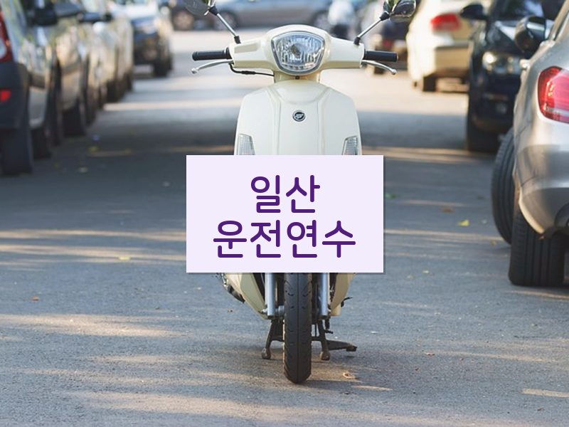 일산운전연수 후기