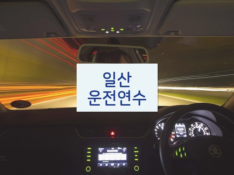일산운전연수 후기