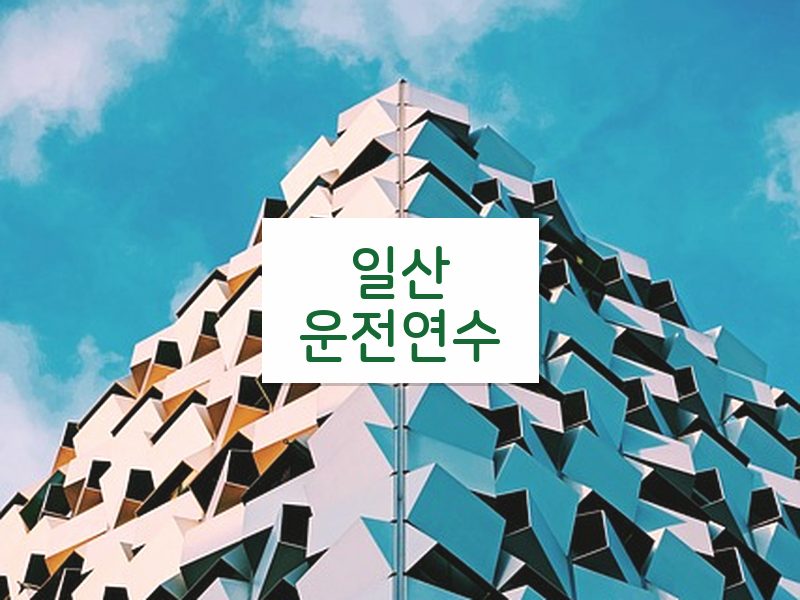 일산운전연수 후기
