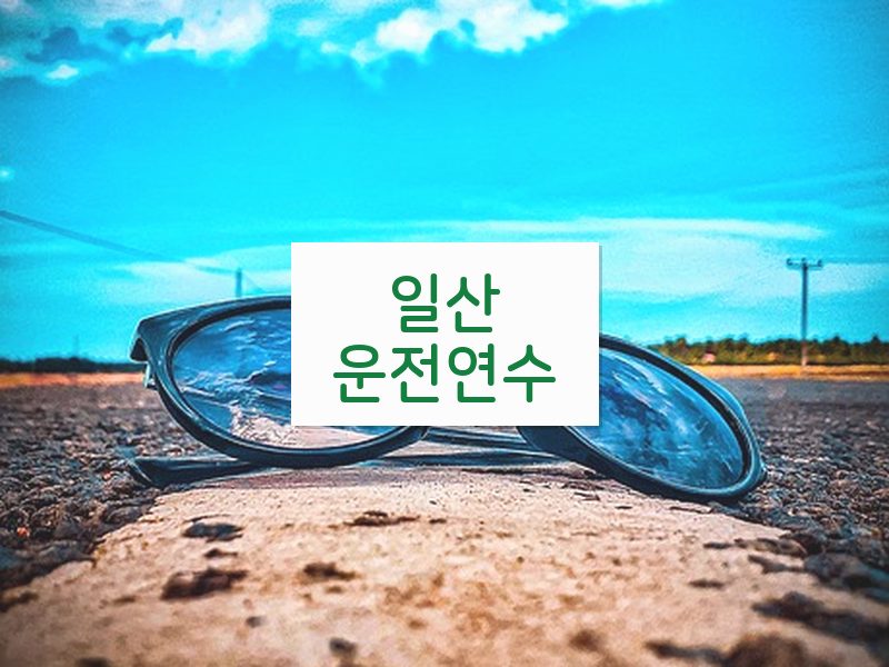 일산운전연수 후기