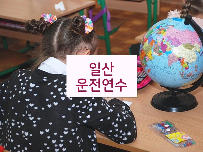 일산운전연수 후기