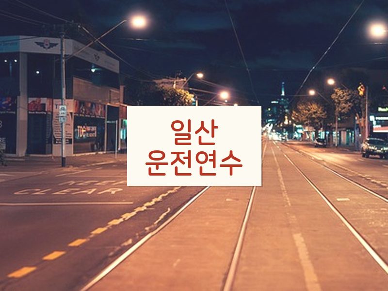 일산운전연수 후기